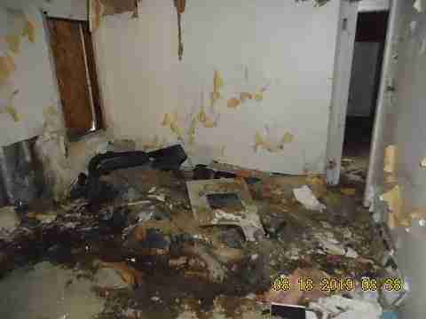 19585 Annott (9)_m.jpg